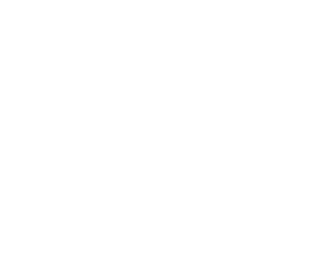 Logo blanc DT Expert